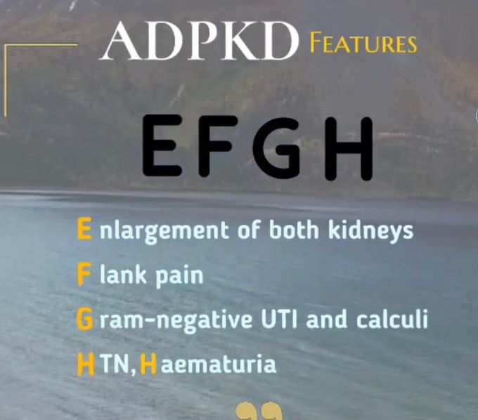 Autosomal dominant polycystic kidney disease (EFGH)
