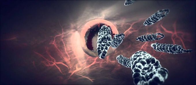 Influenza animation - flu virus mechanism