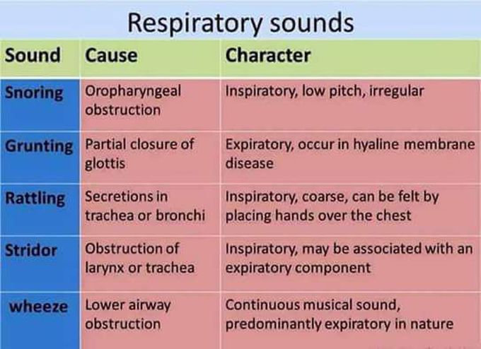 Respiratory sound