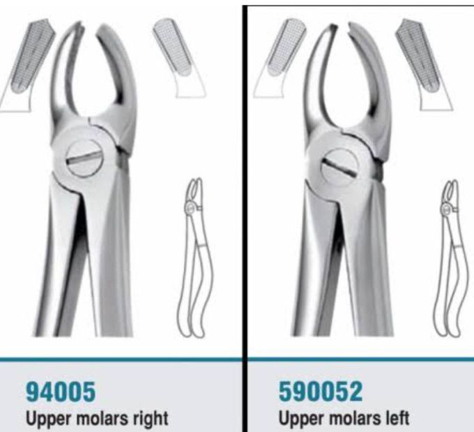 Molar Forceps