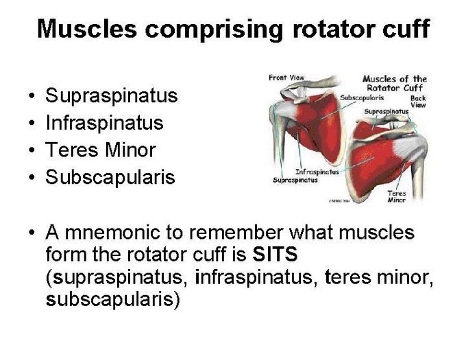 Rotator Cuff Muscles - Mnemonic