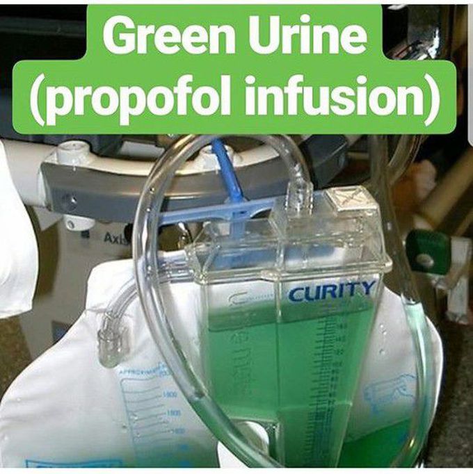 Post number 1505053 MEDizzy