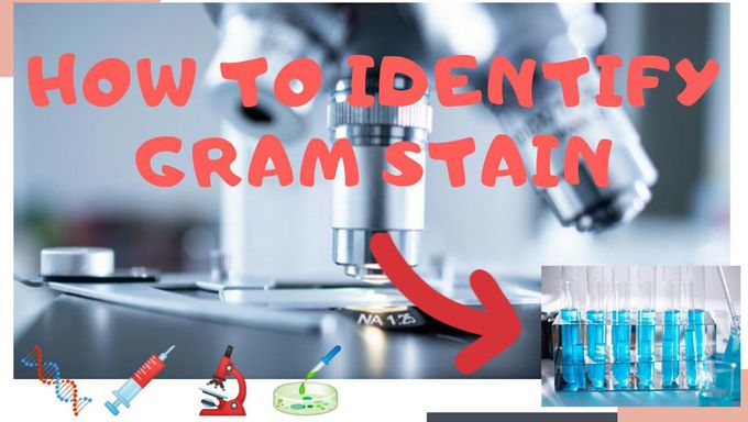 | BASIC BACTERIOLOGY | MICROBIOLOGY |