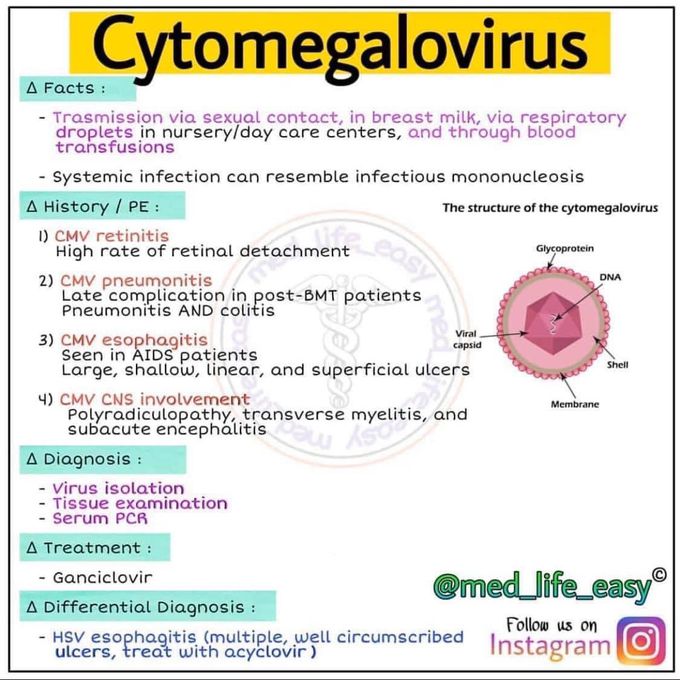 Cytomegalovirus