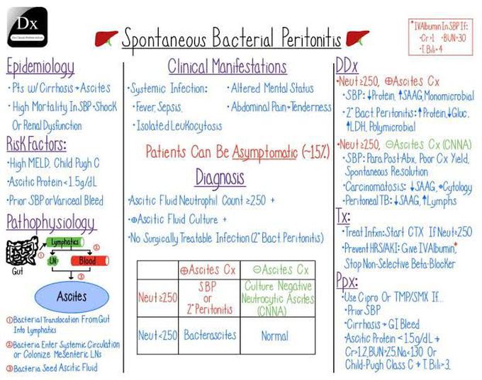 Spontaneous Bacterial Peritonitis