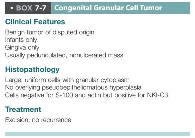 Congenital granular cell tumor