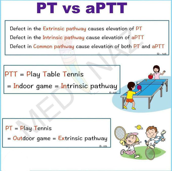 PT vs aPTT
