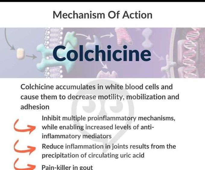 Mechanism of action of Colchicine