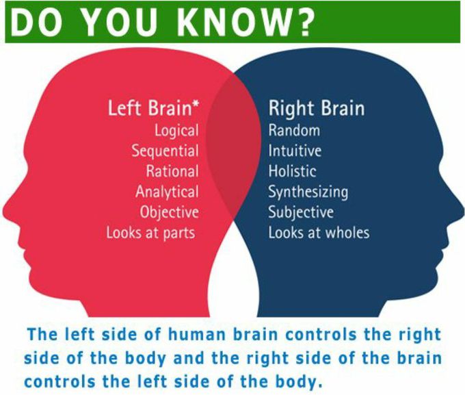 Brain world 😊