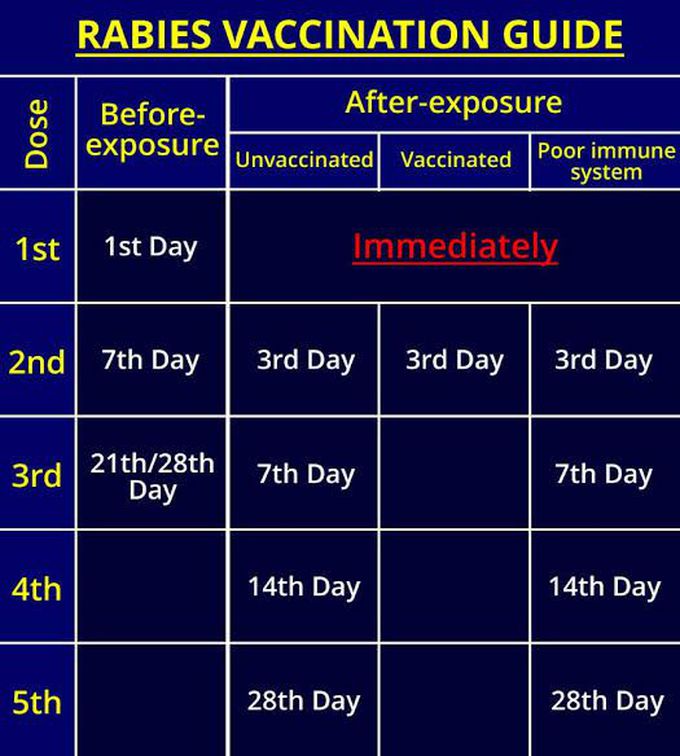 Vaccination of Rabies