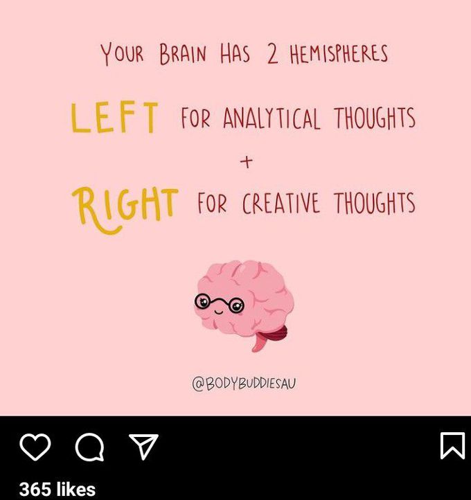 Brain