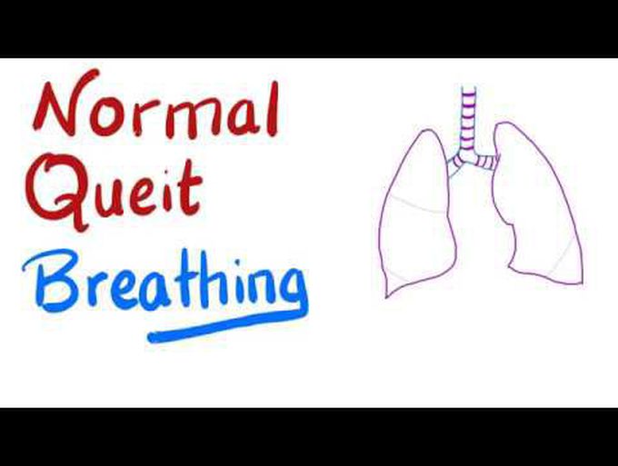 Normal Queit Breathing | Respirated Physiology; Clinically Oriented