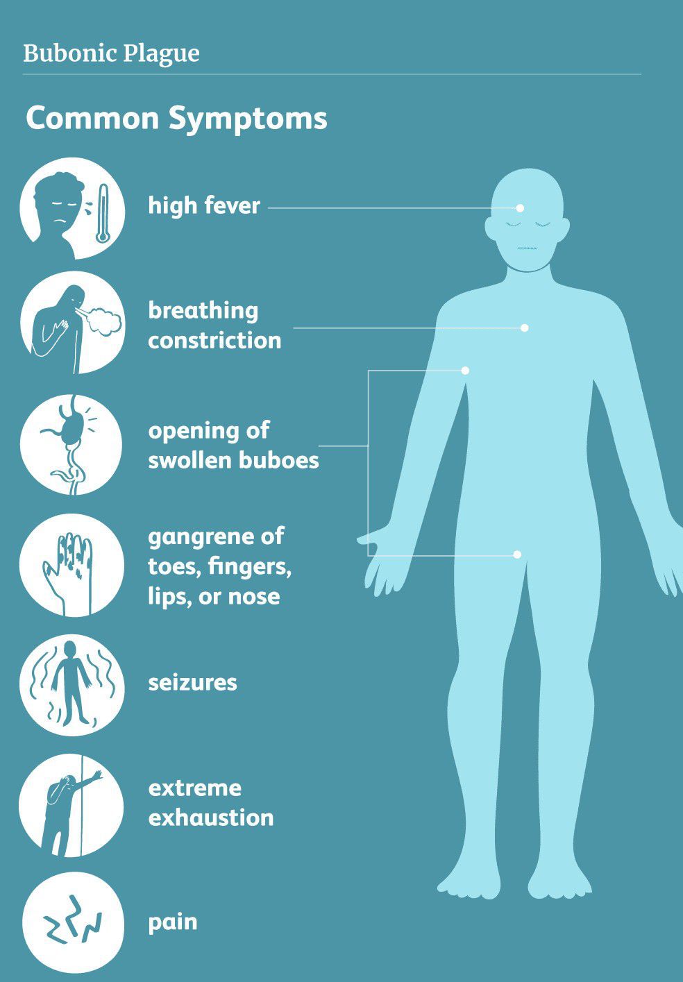 Symptoms of Bubonic Plague MEDizzy