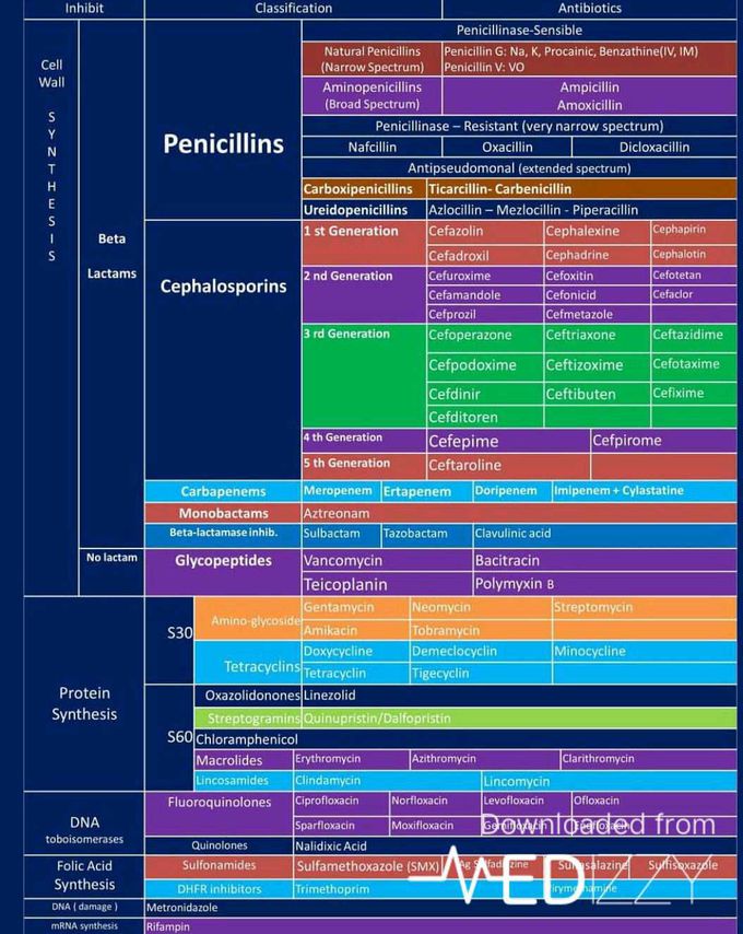 Pharmacology drugs