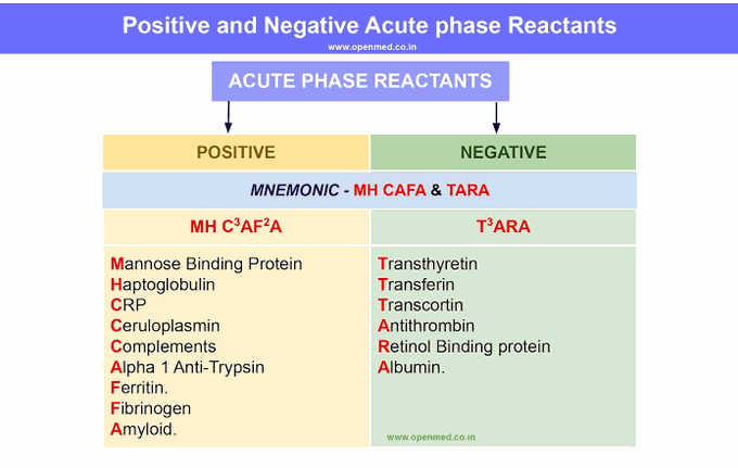 Positive and Negative Acute Phase Reactants