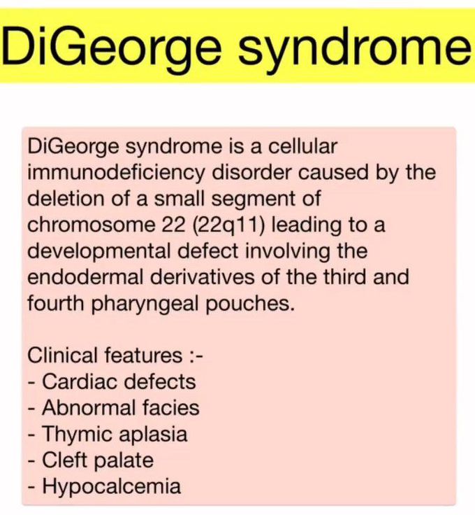 DiGeorge Syndrome