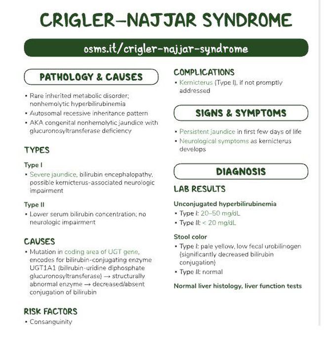 Crigler-Najjar syndrome