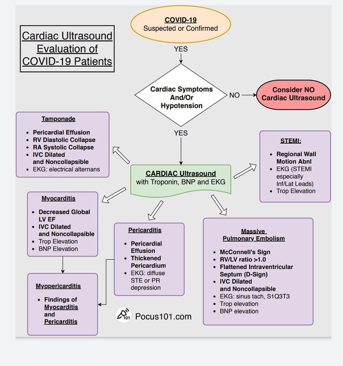 Covid 19 - CARDIAC ULTRASOUND