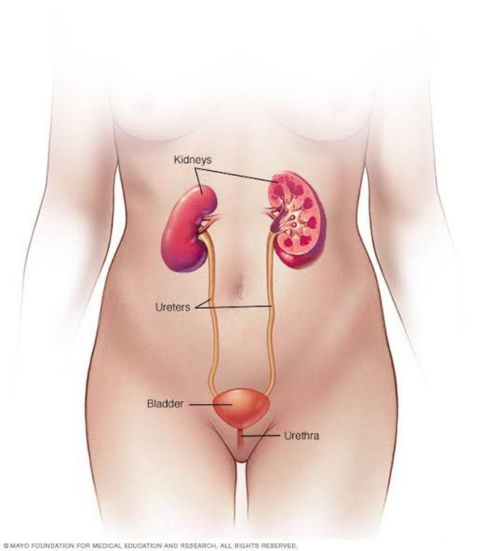 Causes of UTIS