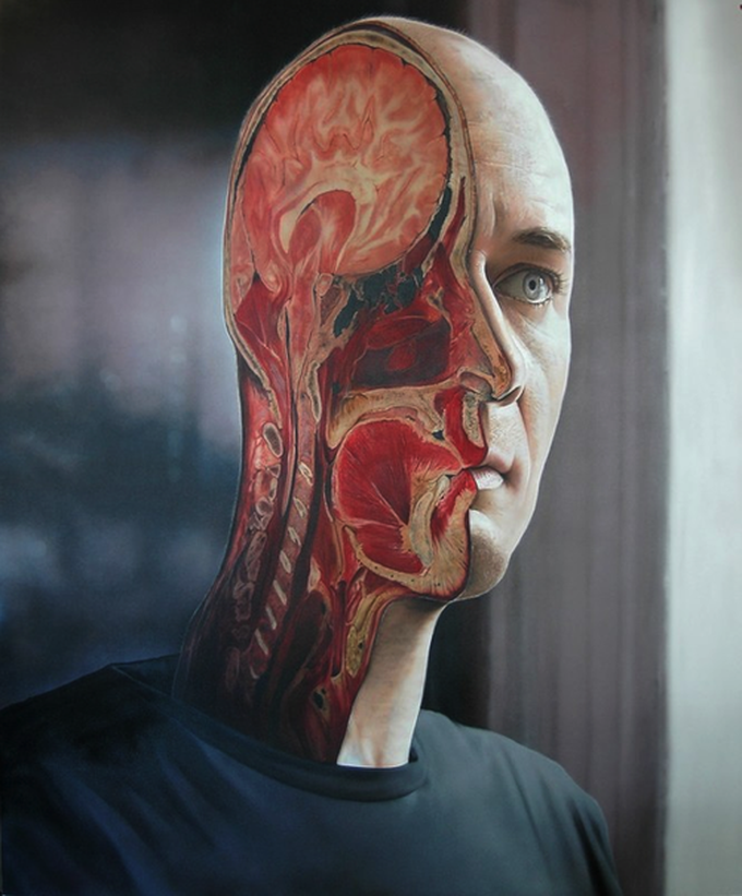 Anatomy