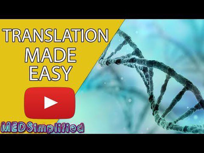 DNA Translation-Overview