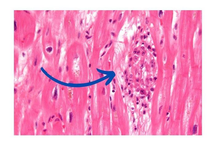 Diagnose It