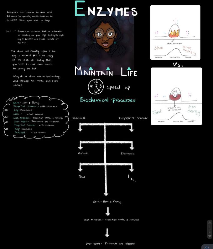 Biology 🧬 Notes