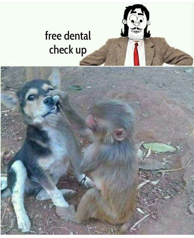 😄