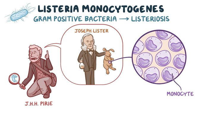 Listeriosis