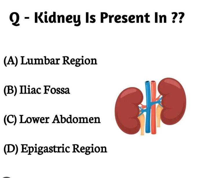 Identify the Region