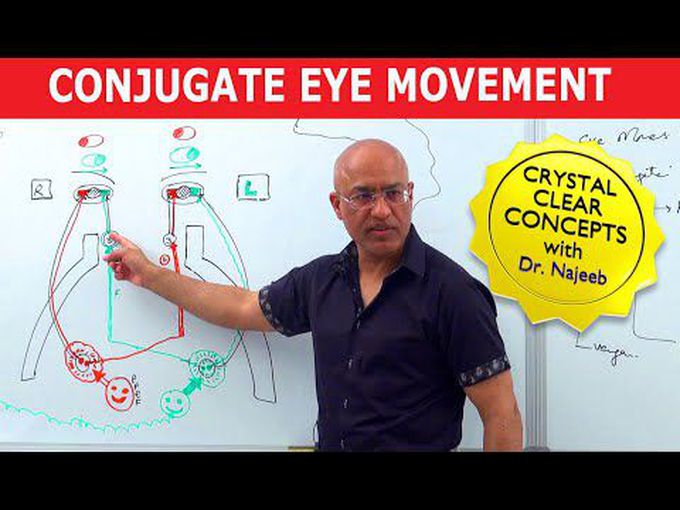 Movements of the Eyes