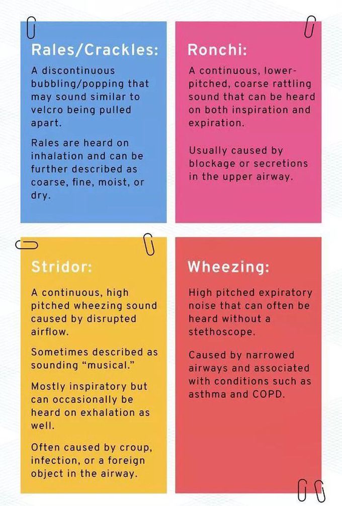 Lung sounds