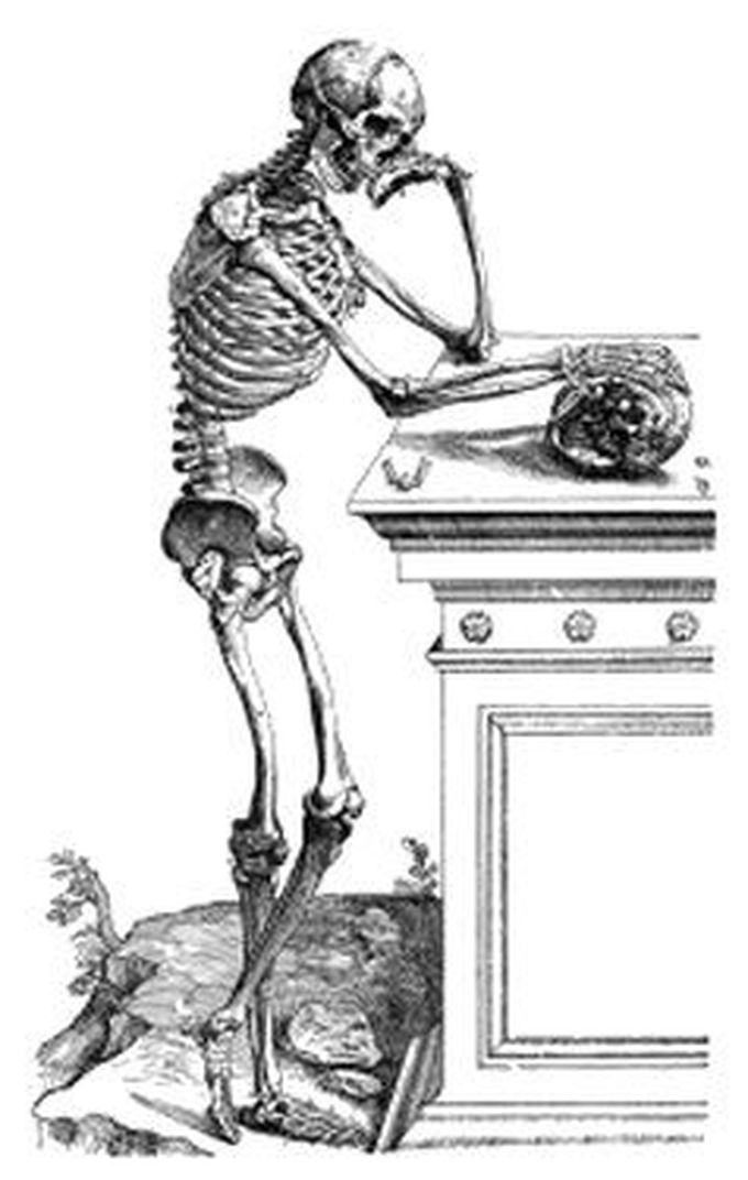Human skeleton system