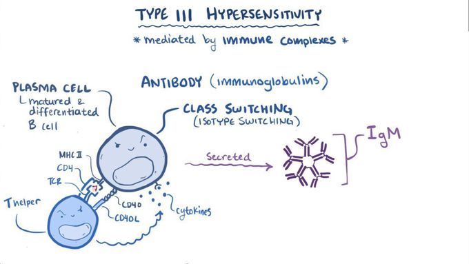 Type III Hypersensitivity