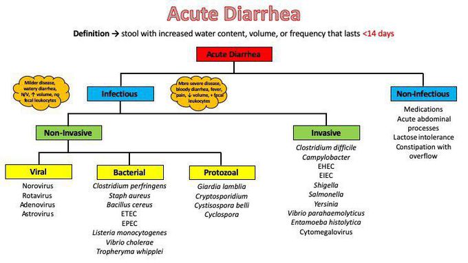 Acute diarrhea