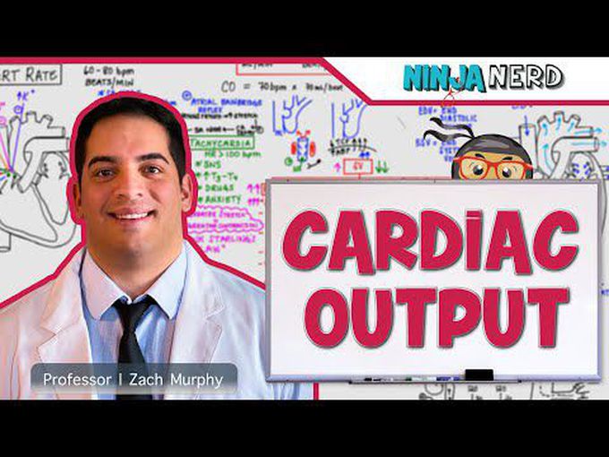 Cardiac output : Frank Starling's mechanism