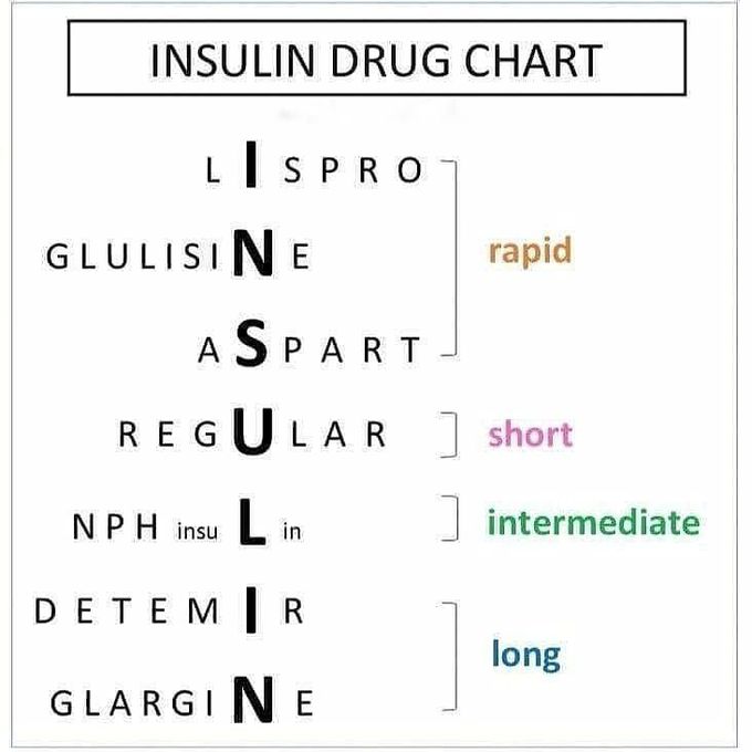 Insulin