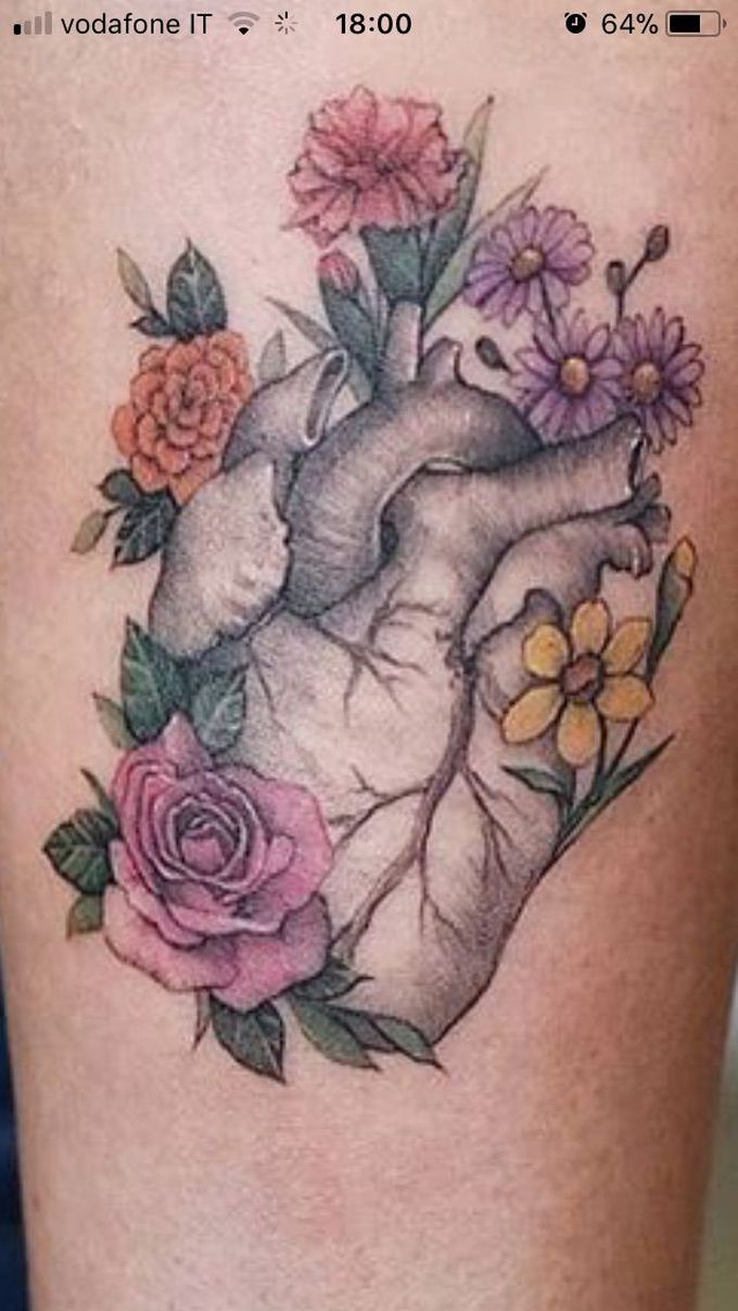 Heart