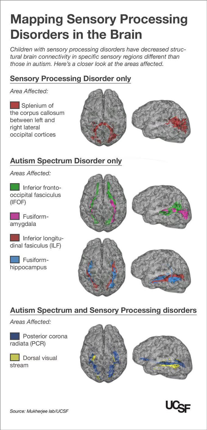 AUTISM