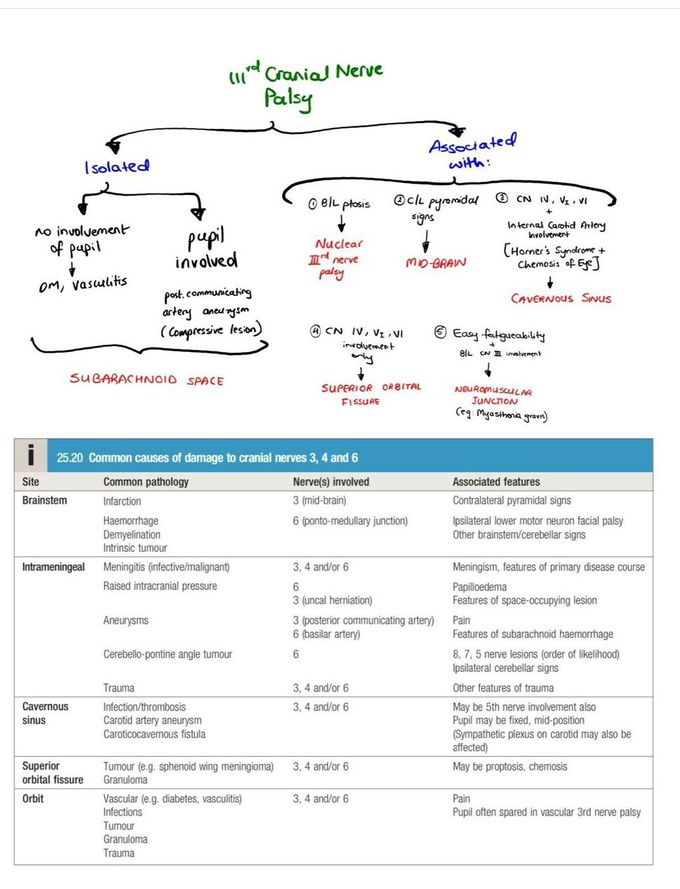 Oculomotor Nerve V