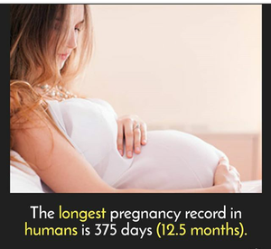 Do You Know? - MEDizzy