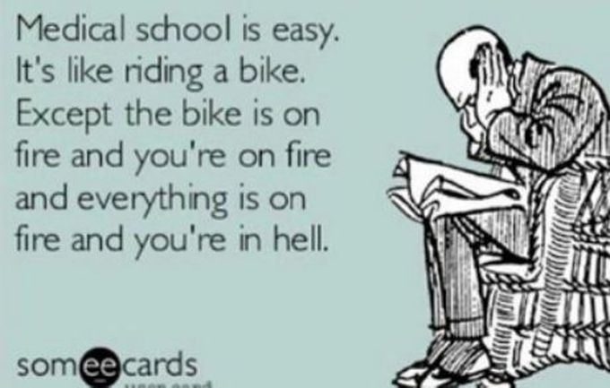 Medical school 🚸