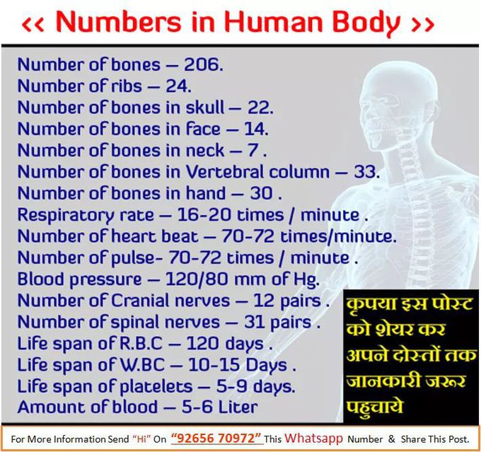 Number in human beings