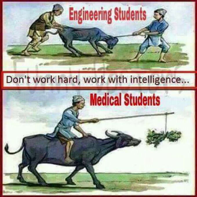 Dr vs Er