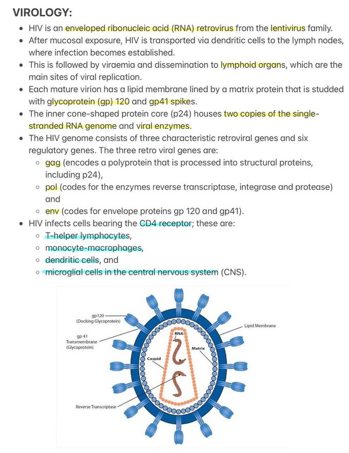 HIV - Virology