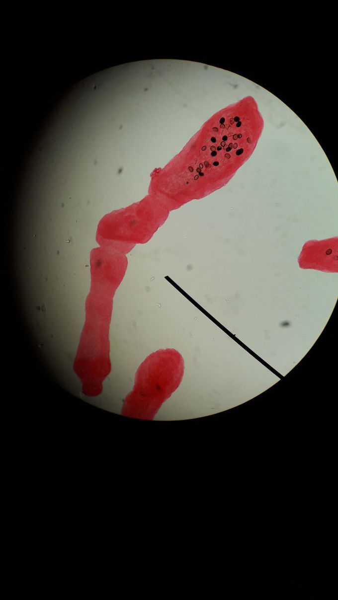 Anyone knows this guy? 🔬