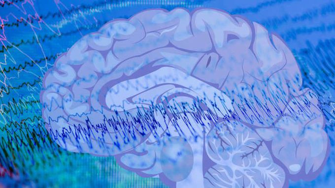Scientists Make Discovery That Accidentally Solves A 125-Year-Old Neuroscience Mystery