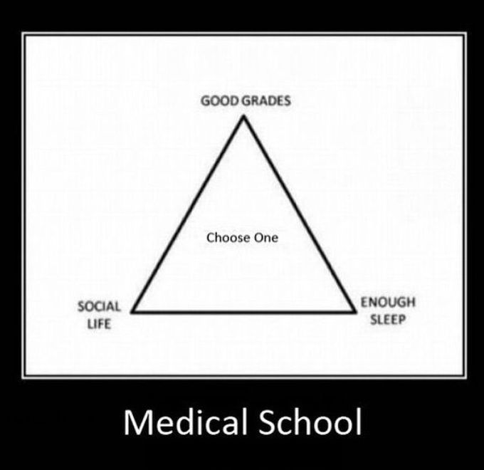 Which one would you choose?