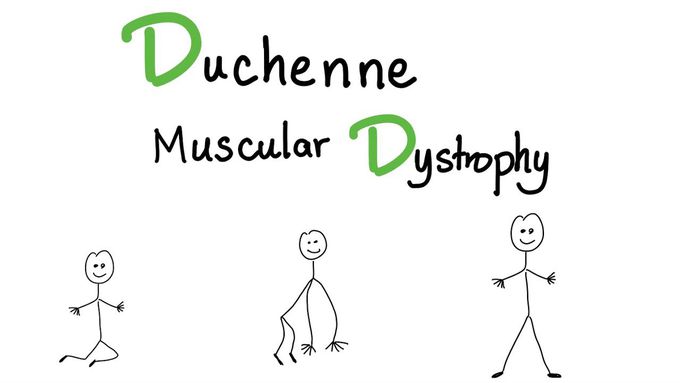 Muscular Dystrophy (Duchene)- Muscle pathology