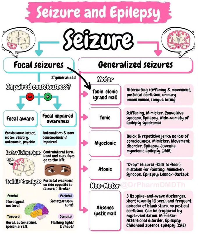 Seizure and Epilepsy